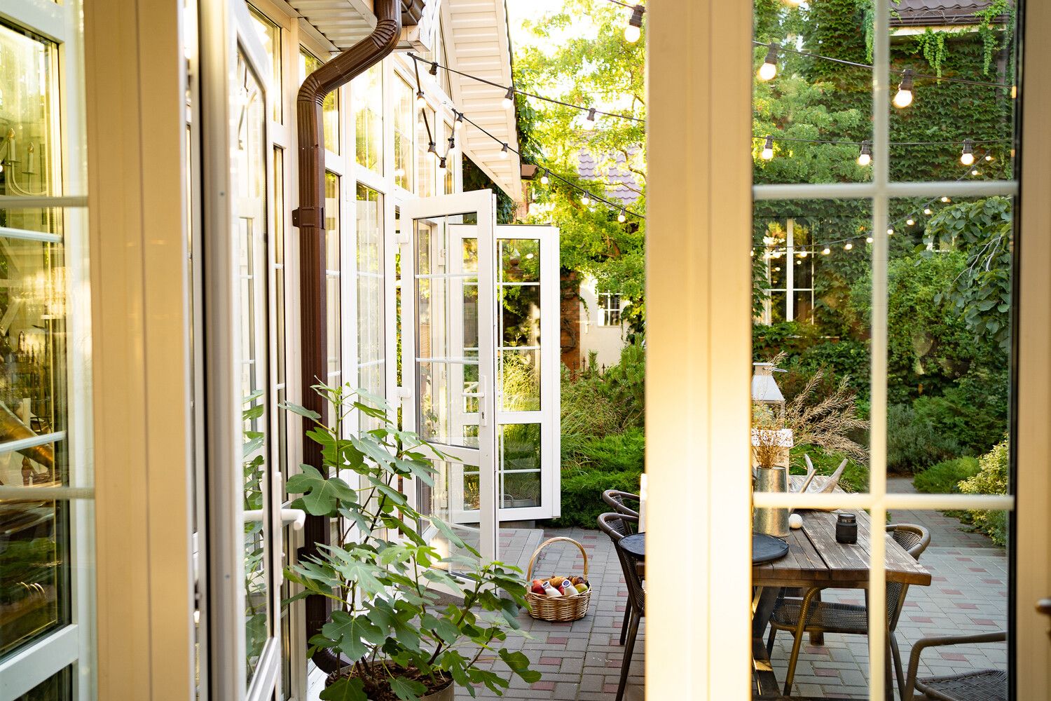Windows and doors
